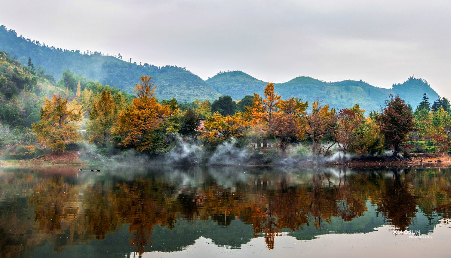 DSC_1954_副本.jpg