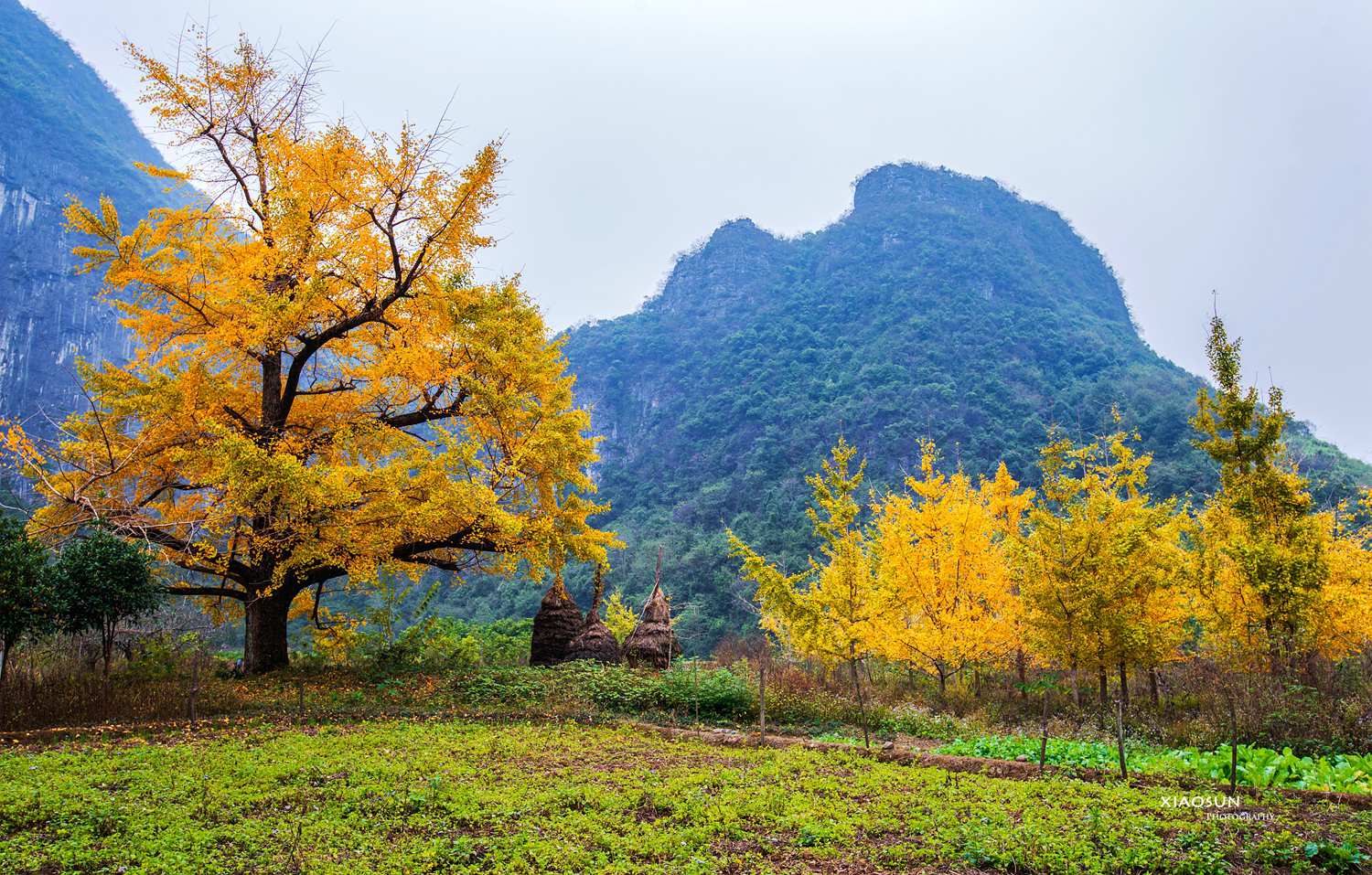 DSC_2169_副本.jpg