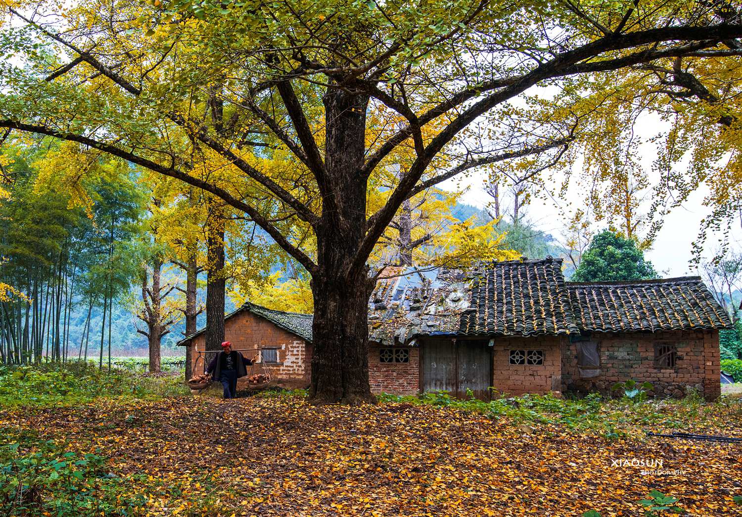DSC_2232_副本.jpg