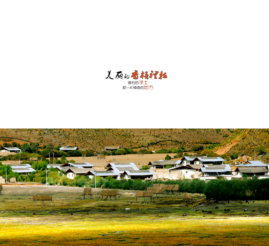 05.jpg