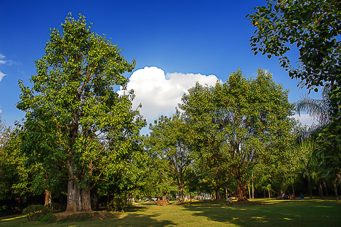 IMG_3857.jpg