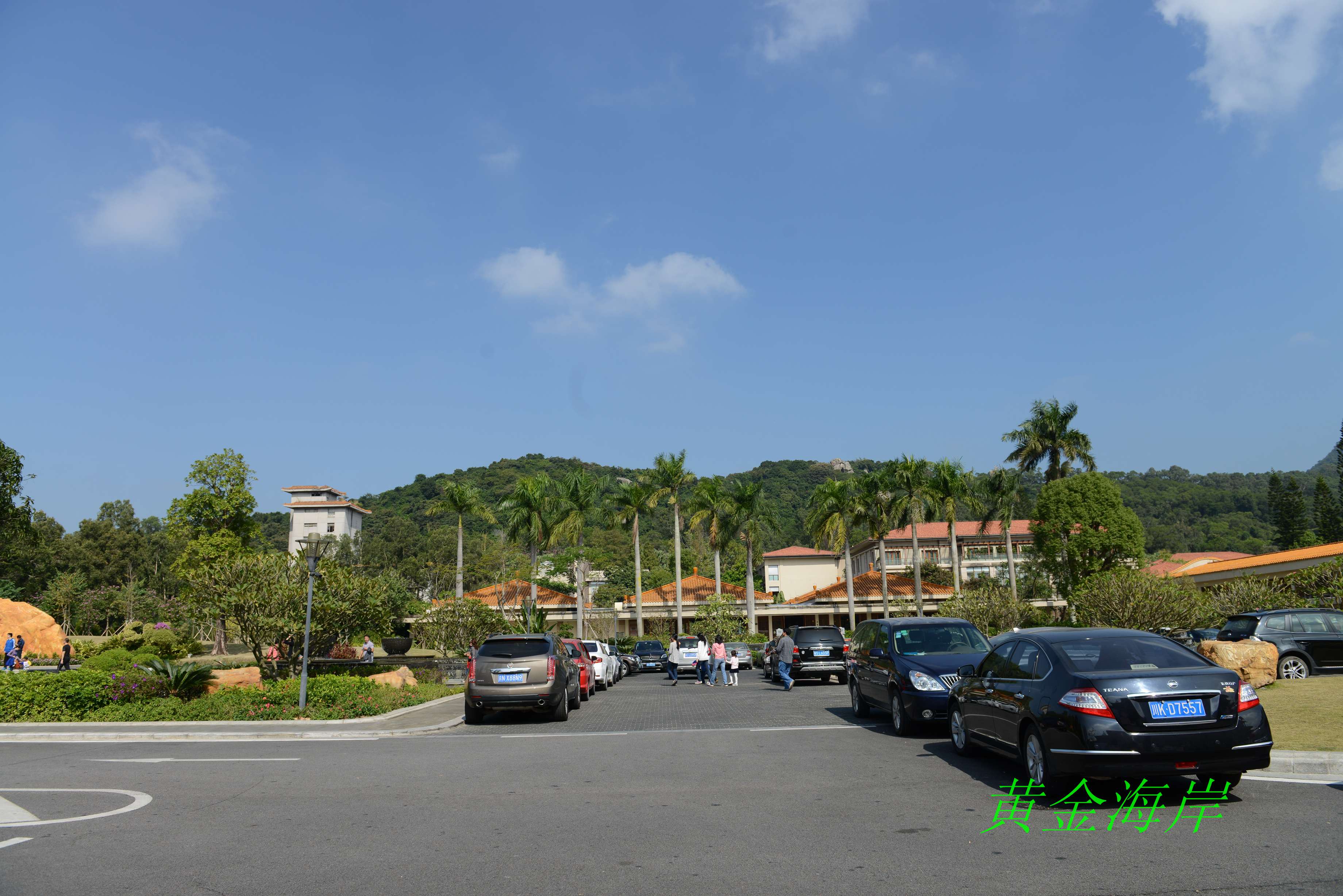 DSC_1164.jpg