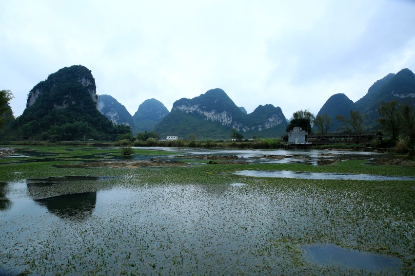 0S0A3862_conew1.JPG