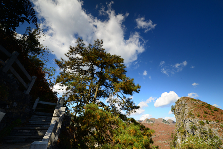DSC_7866_副本.jpg