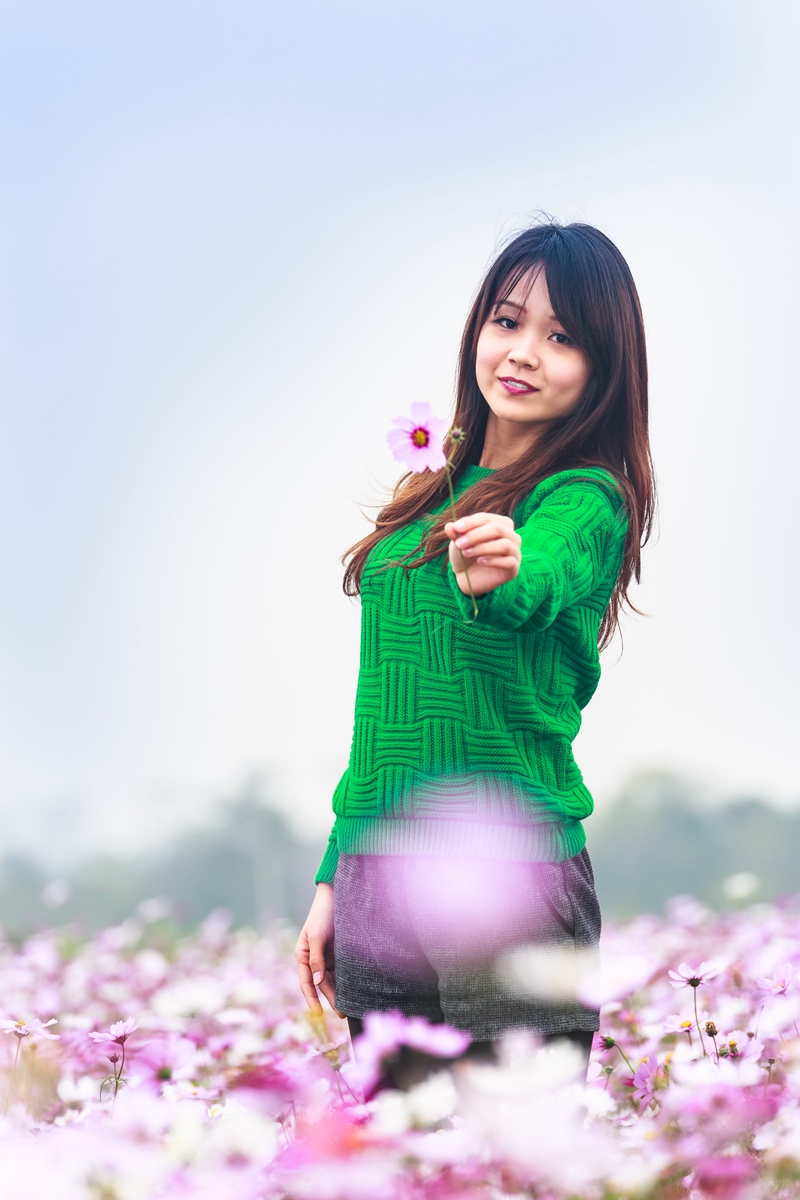 那一片格桑花-2_副本.jpg