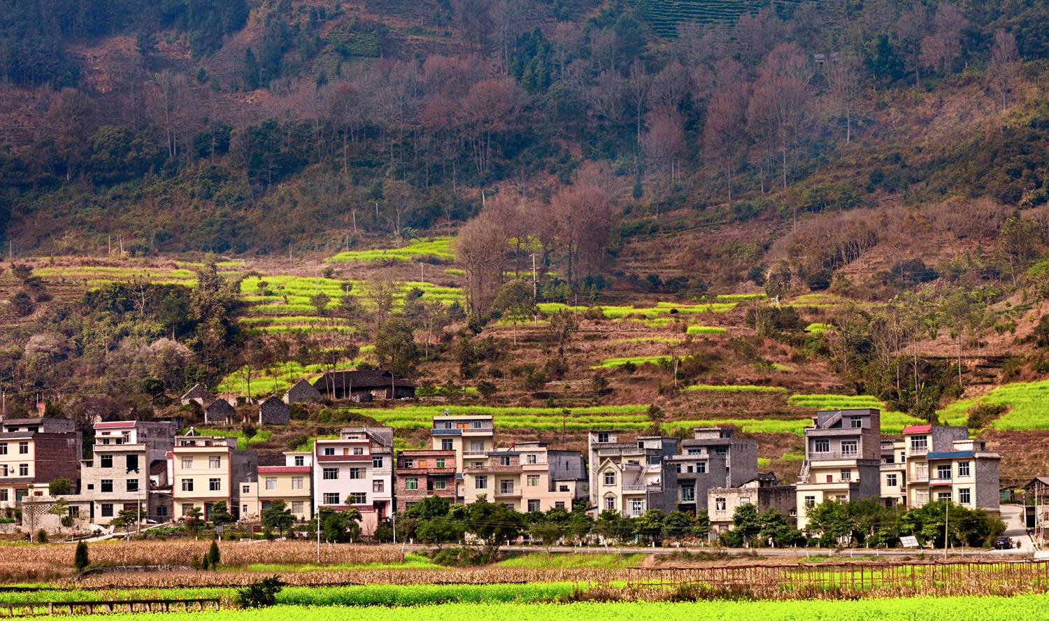_MG_9795小.jpg