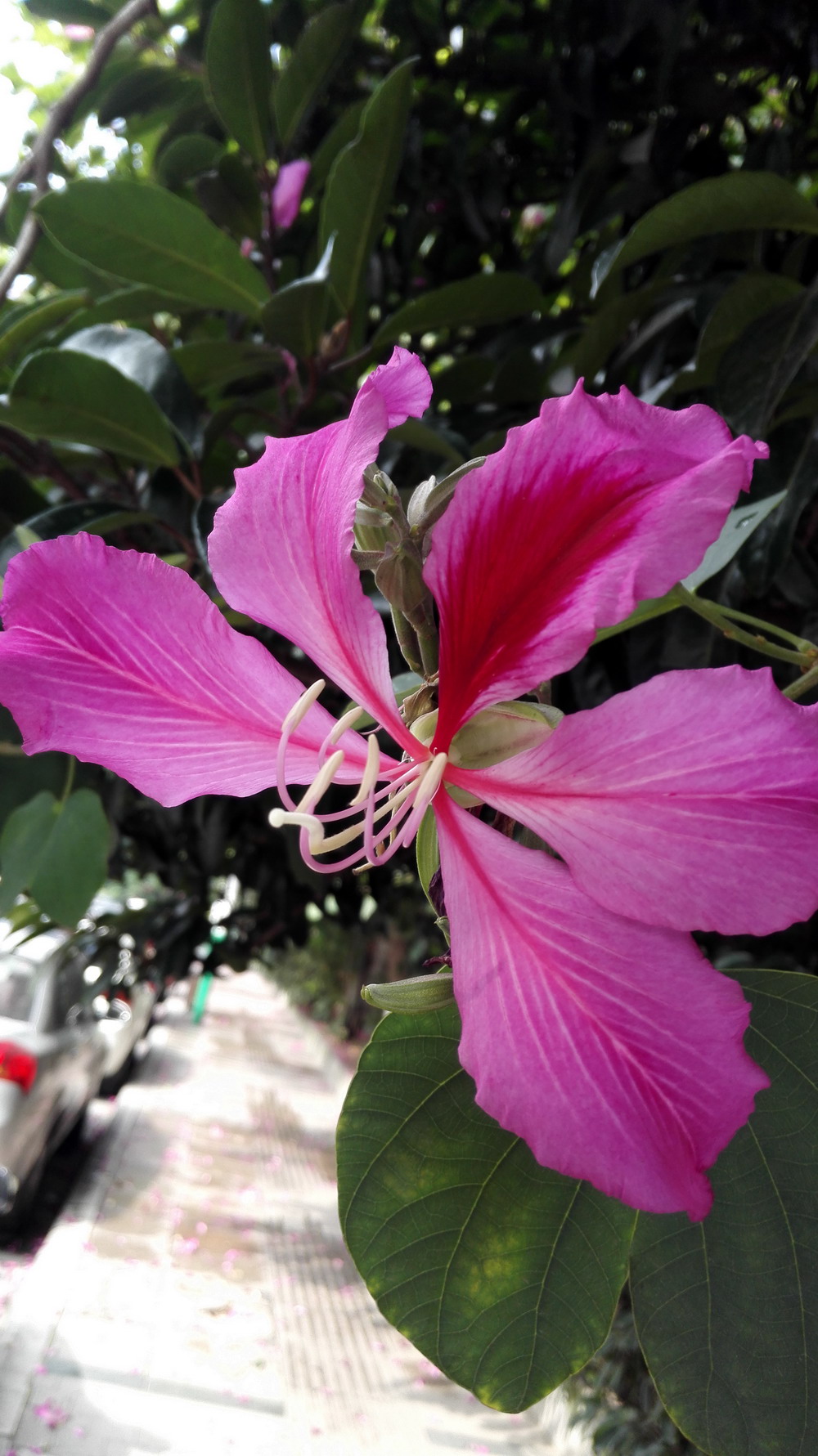 IMG_20141128_120759 小.jpg