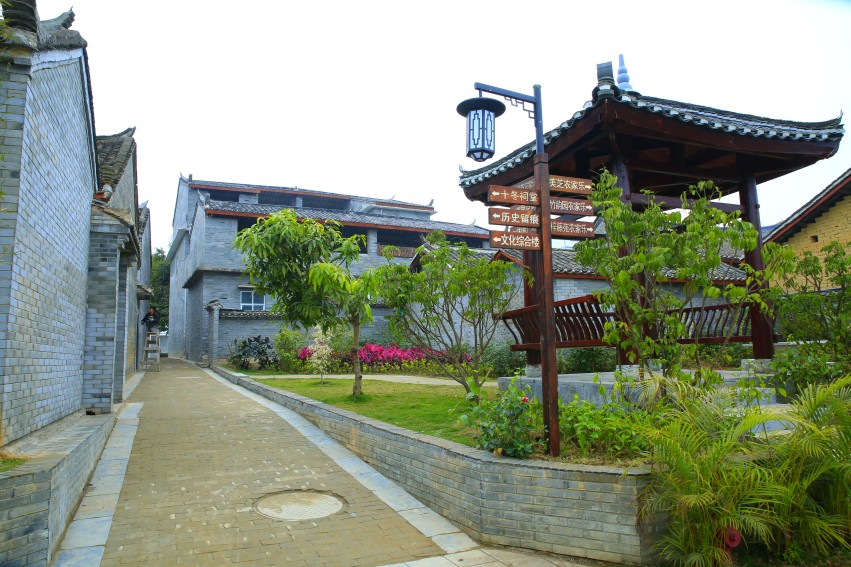 _S0A7751_conew1.JPG
