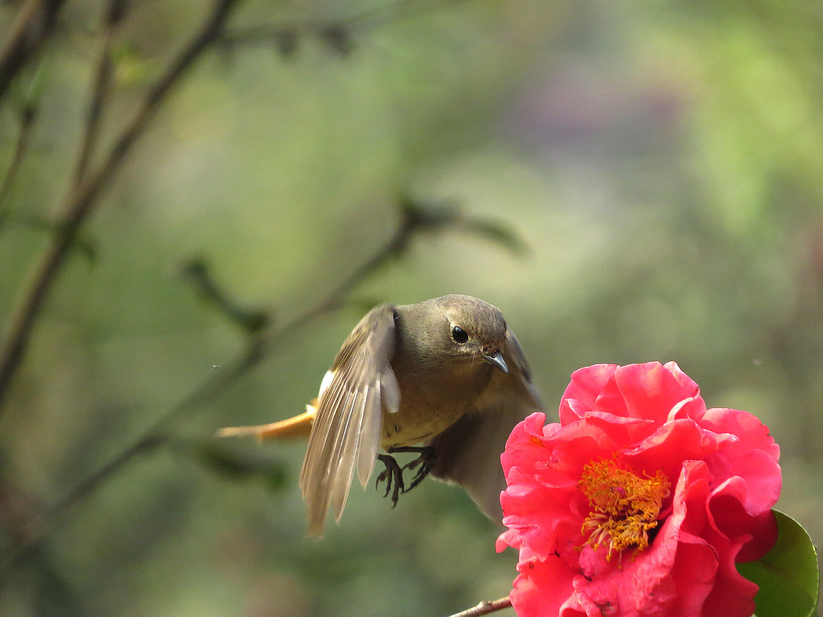 IMG_1394_副本.jpg