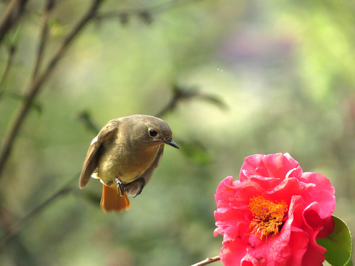 IMG_1398_副本.jpg