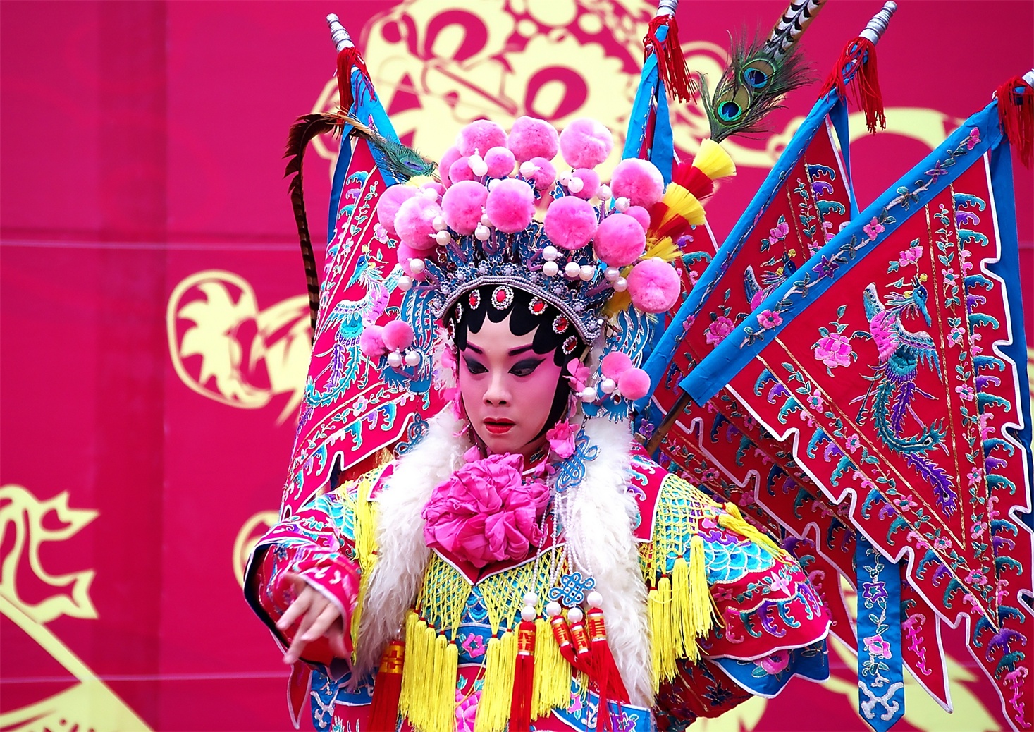 IMGP5302_副本_dh.JPG