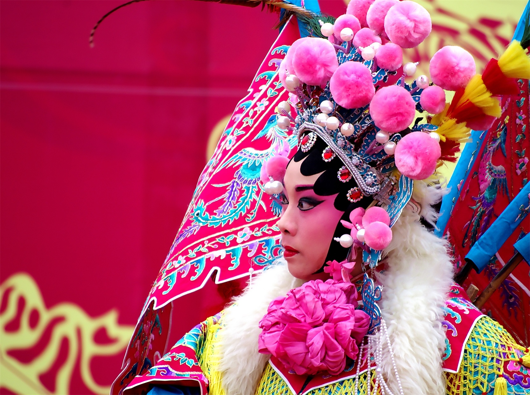 IMGP5310_副本_dh.JPG