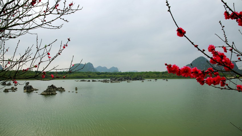 _S0A0440_conew1.JPG