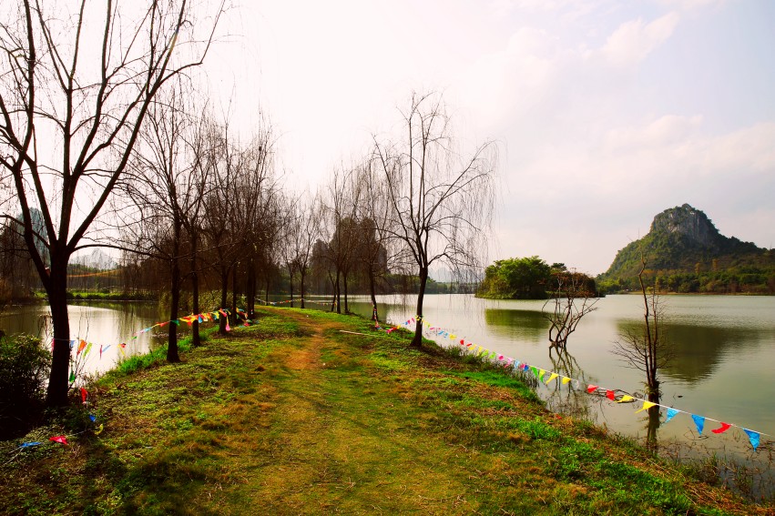 _S0A0503_conew1.JPG