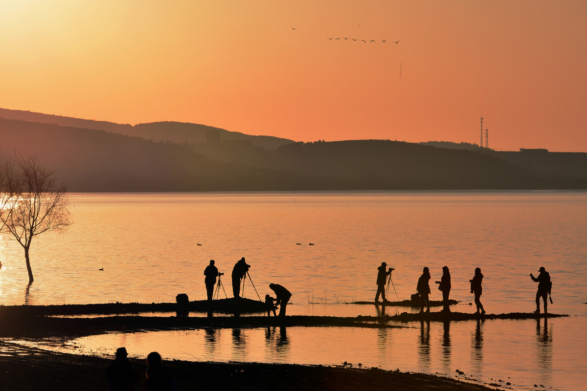 DSC_5867_副本_filtered.jpg