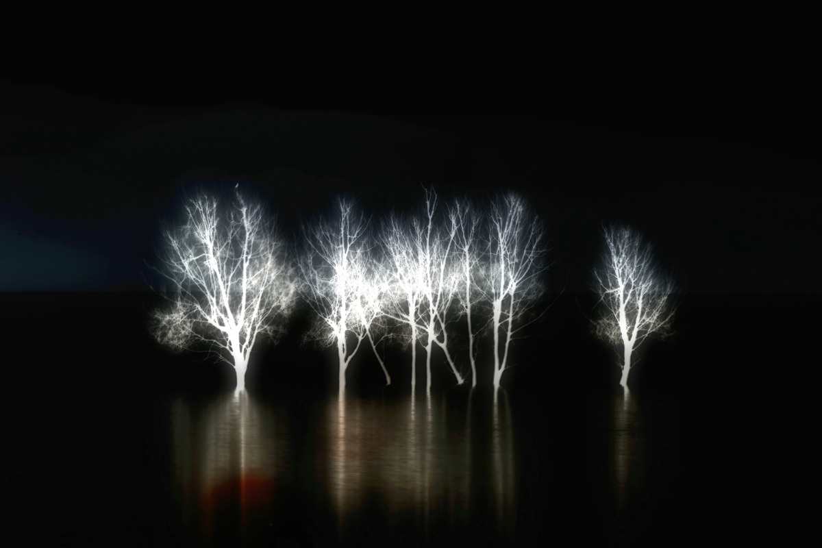 DSC_6016_副本_filtered.jpg
