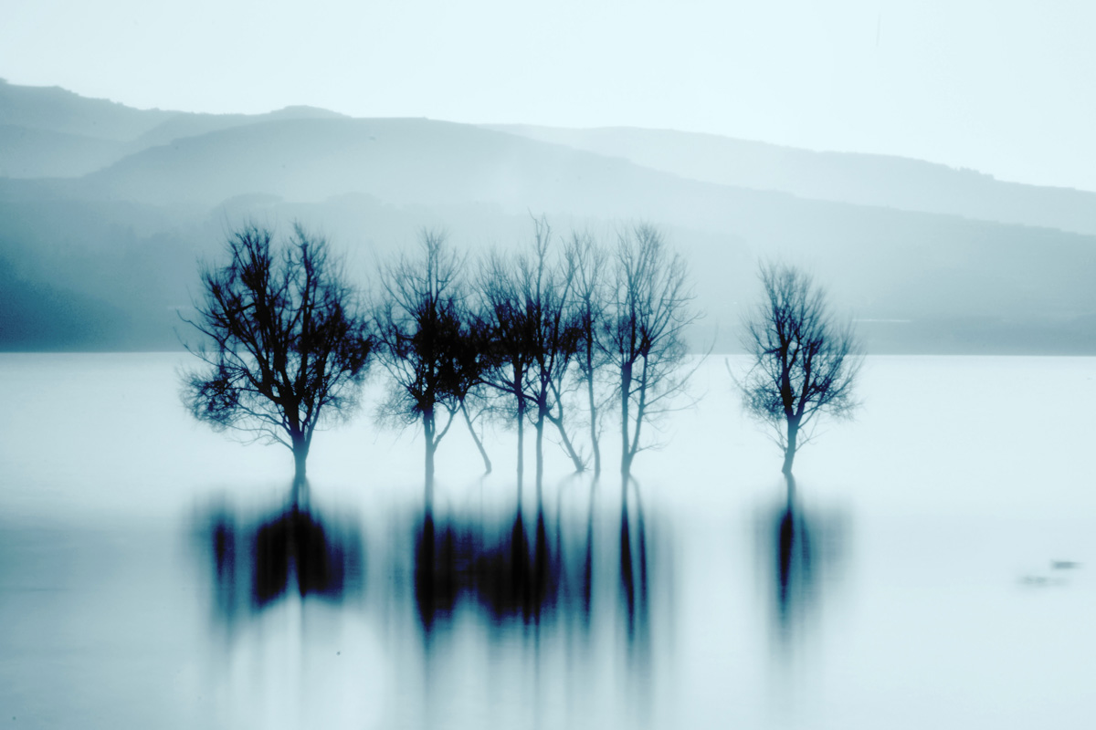 DSC_6019_副本_filtered.jpg