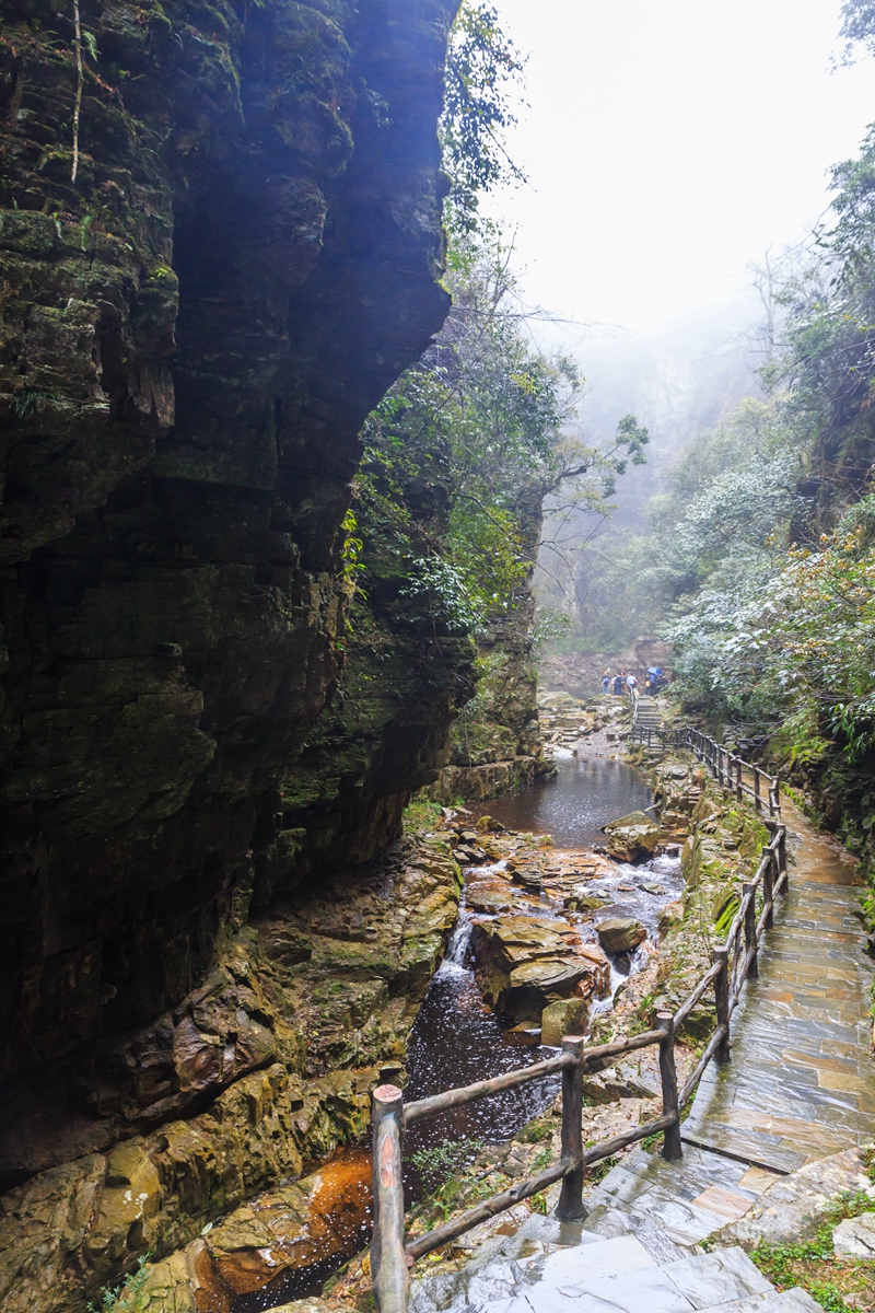 大明山-12_副本.jpg