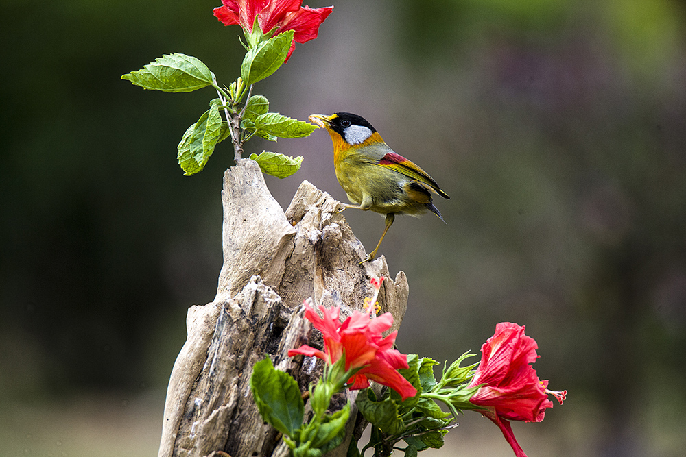 IMG_4049副本.jpg