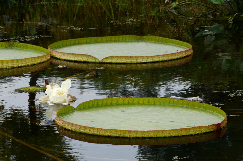DSC_7382.JPG