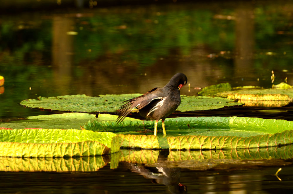 DSC_9833.JPG