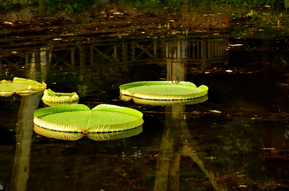 DSC_9982.JPG