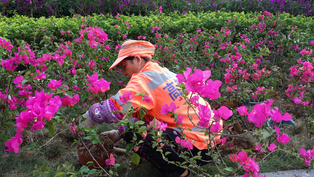 20150404_175111.jpg