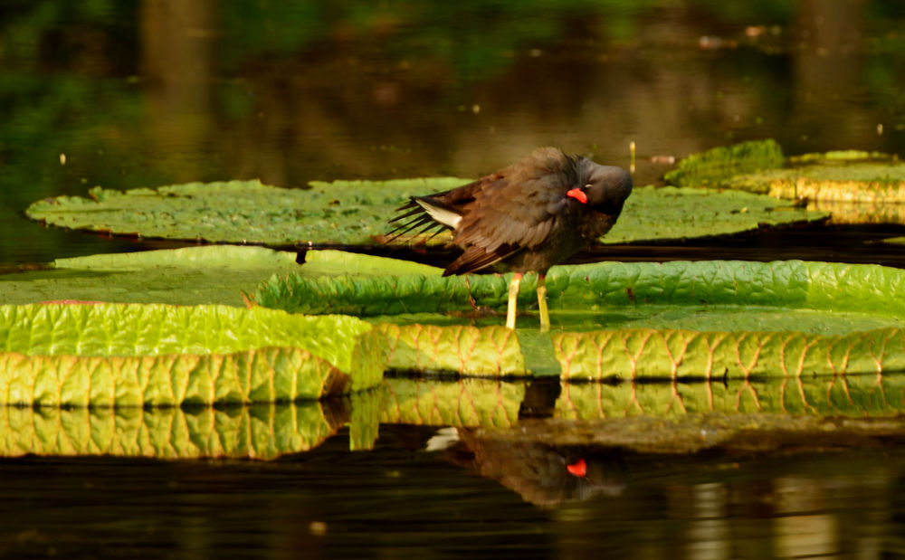 DSC_9831.JPG