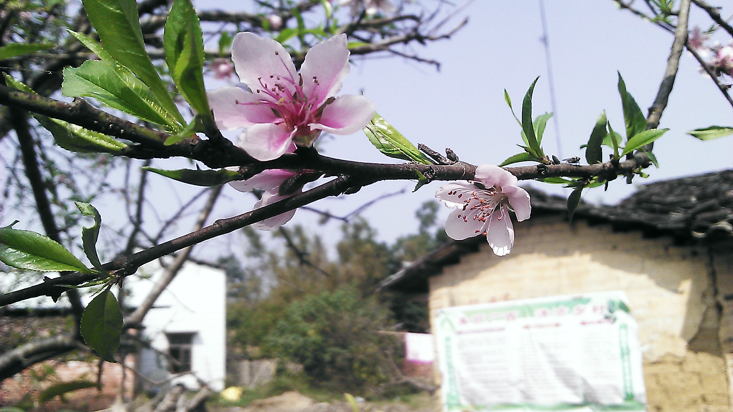 IMAG2008.jpg