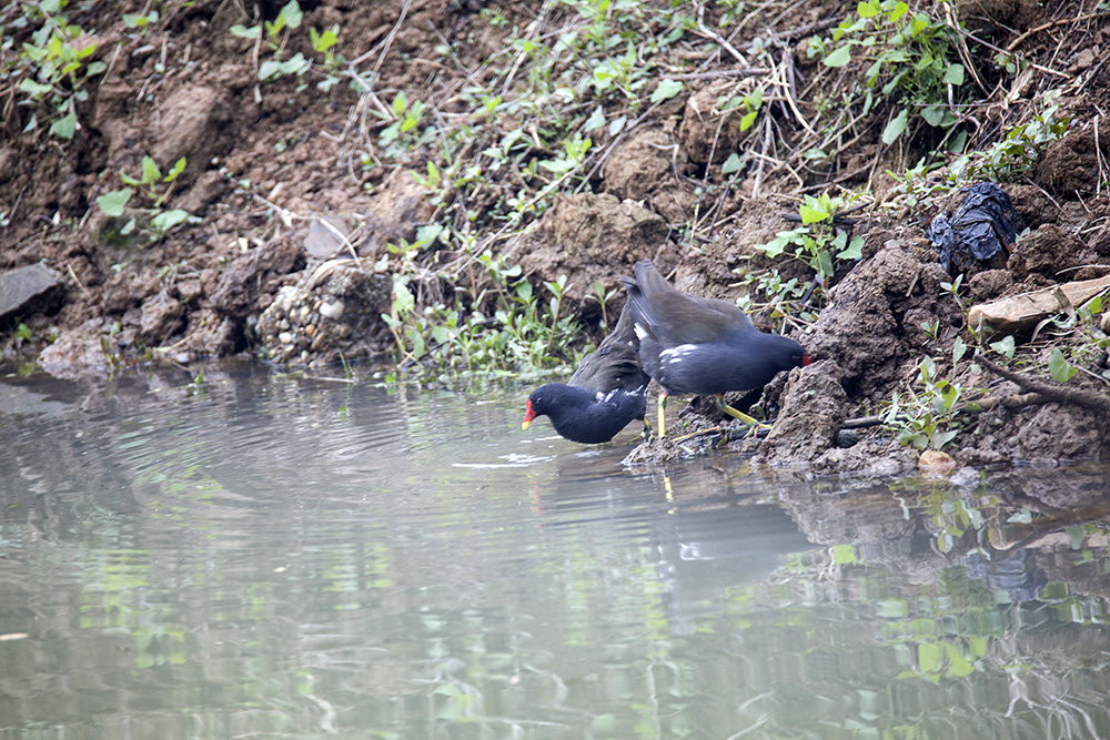 IMG_7407副本.jpg
