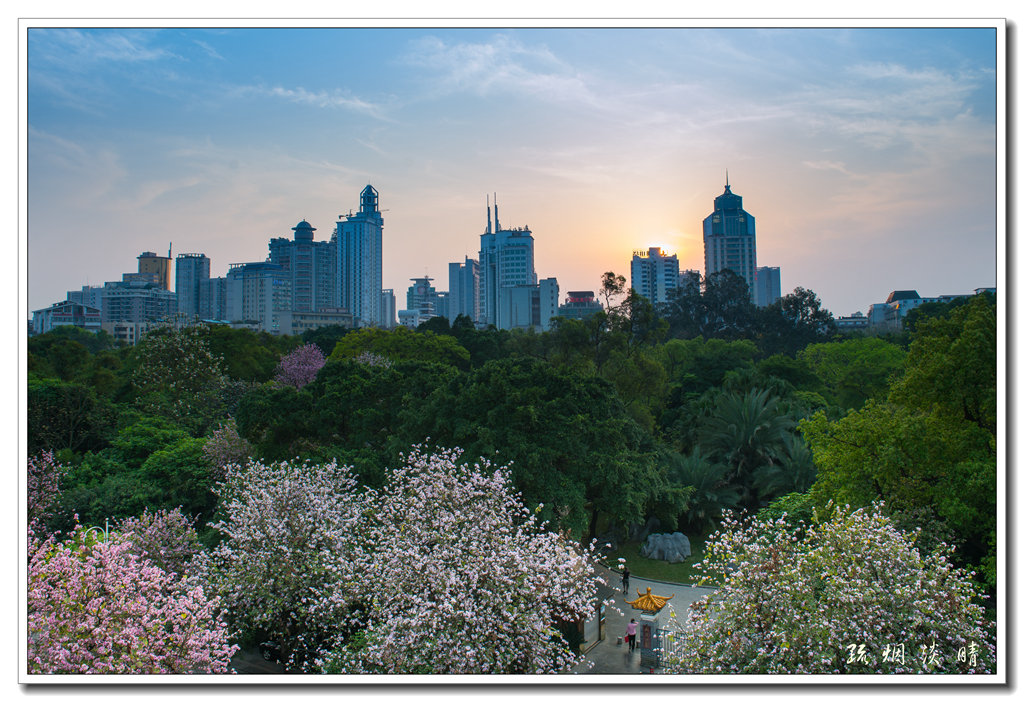 20150402-DSC_8383_副本.jpg