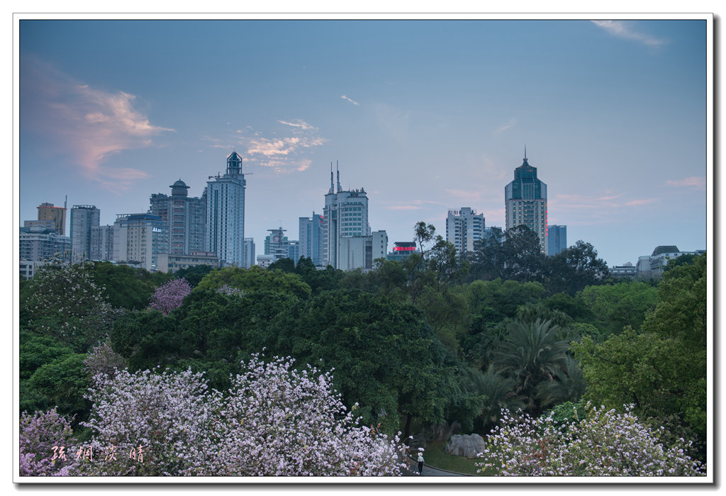 20150402-DSC_8474_副本.jpg