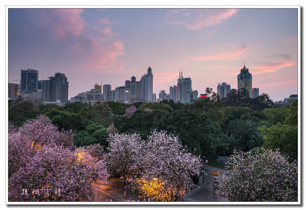 20150402-DSC_8508_副本.jpg