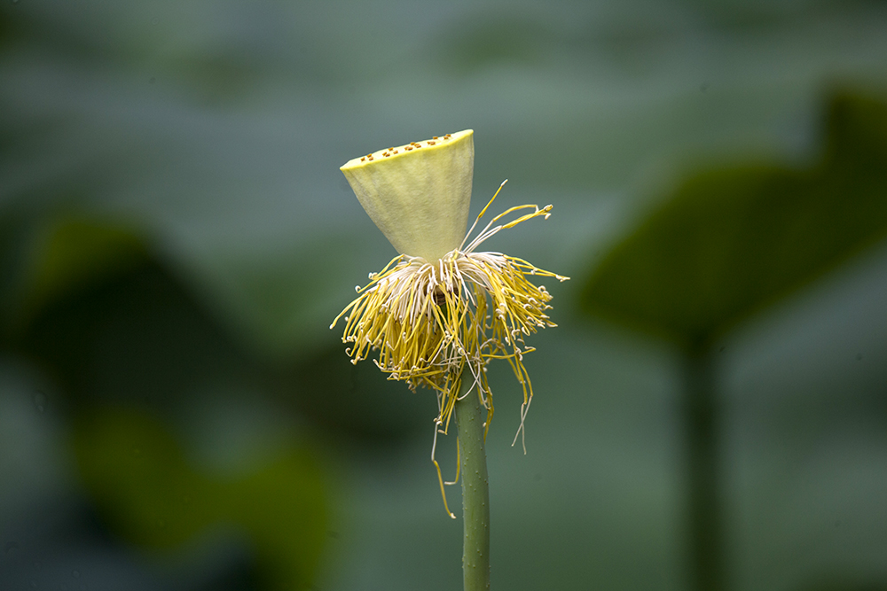 IMG_8540副本.jpg