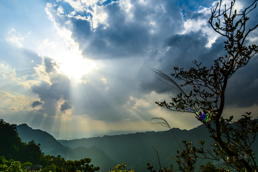 未命名-0557_副本.jpg