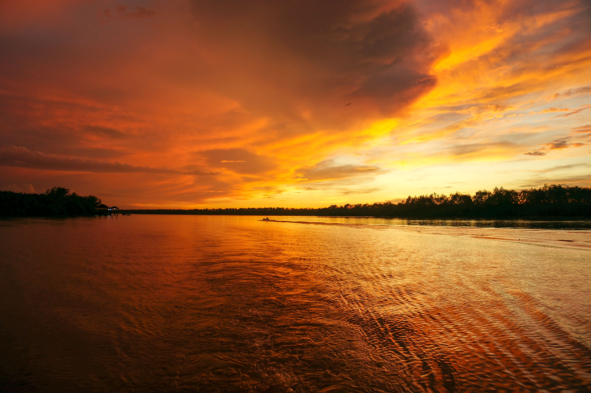 DSC09414-1.jpg