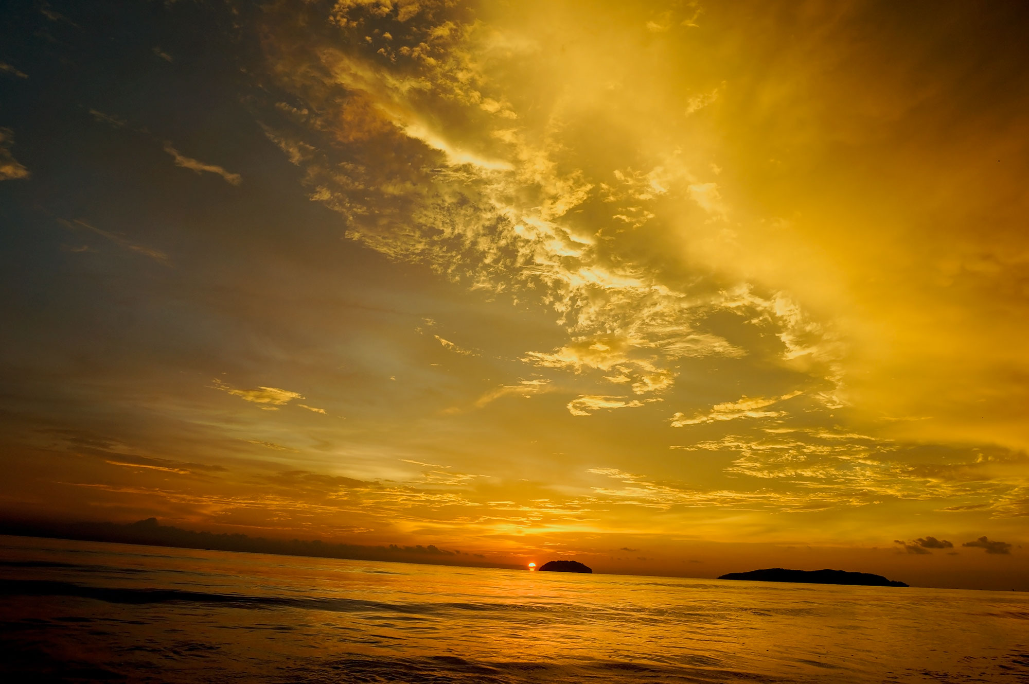 DSC08967-1.jpg