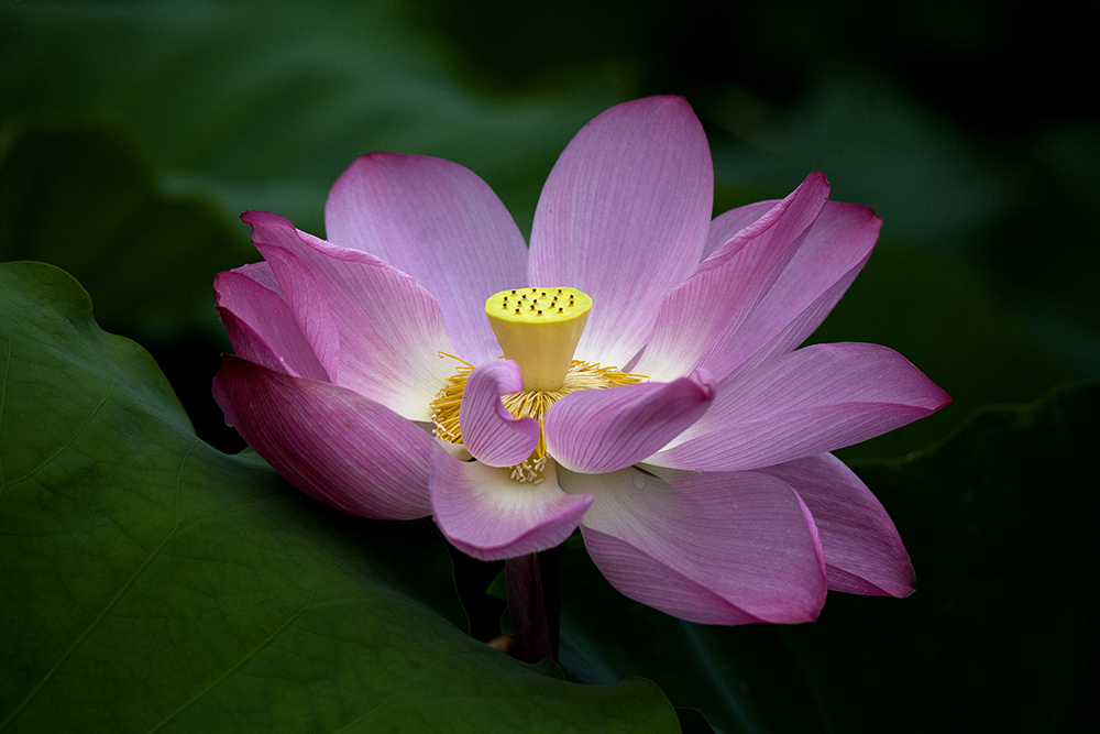 IMG_9170副本.jpg
