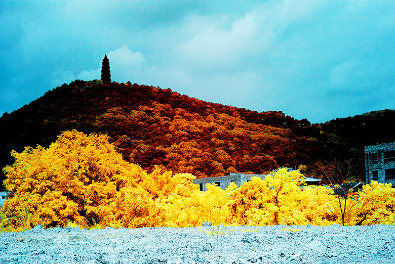 青山魅影2.jpg