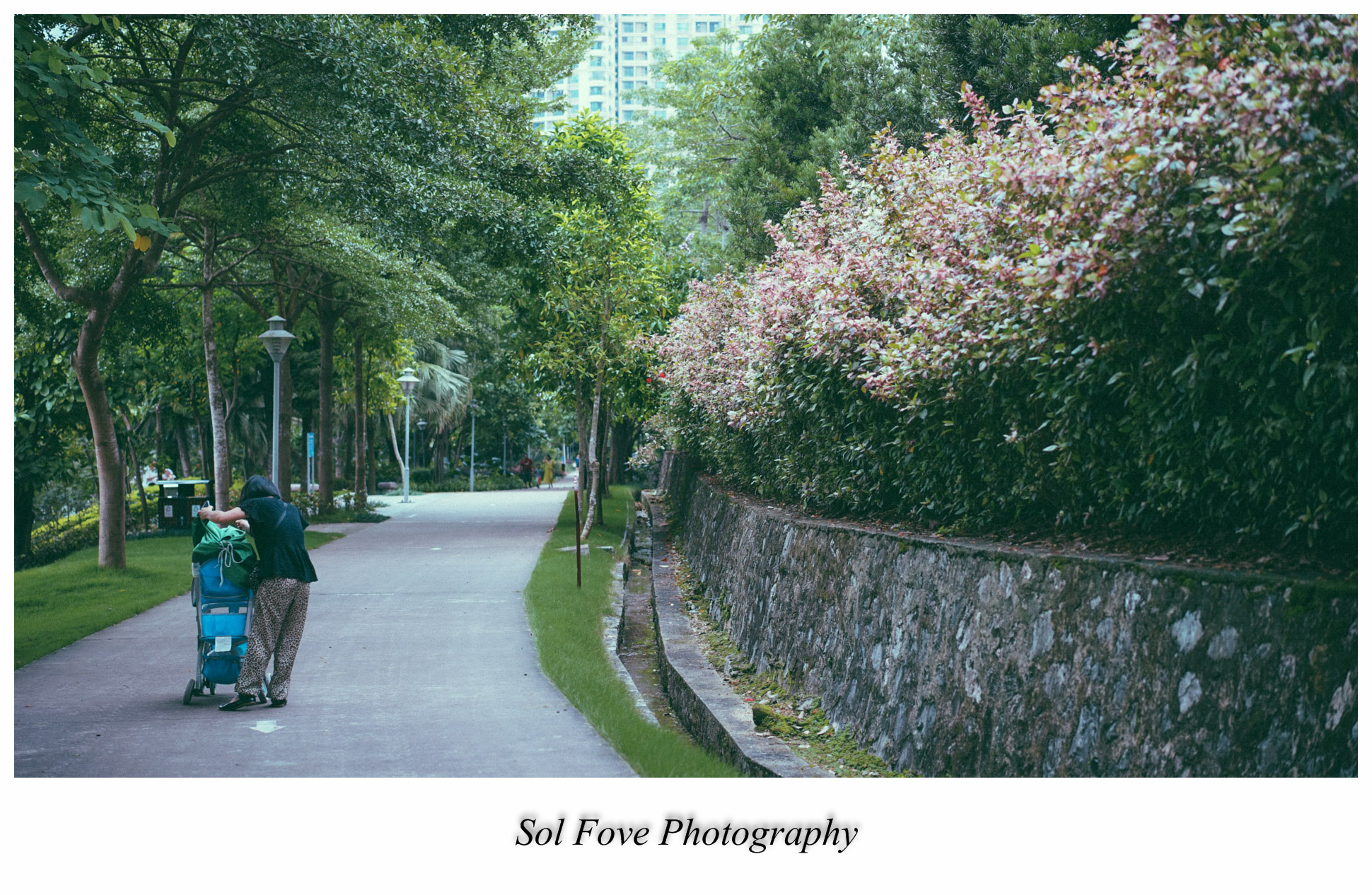 DSC08922_副本.jpg