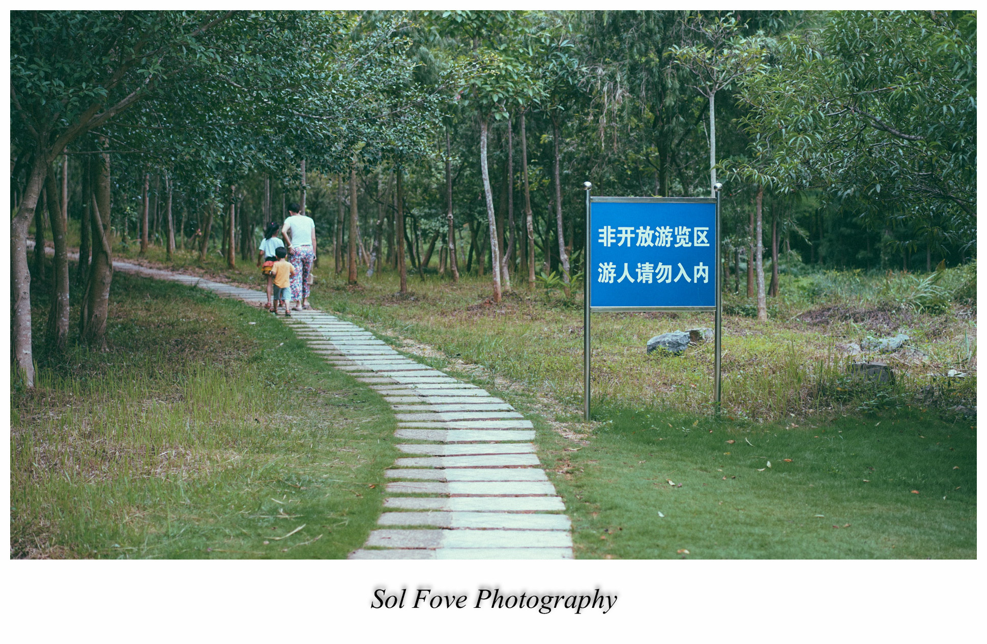 DSC08928_副本.jpg