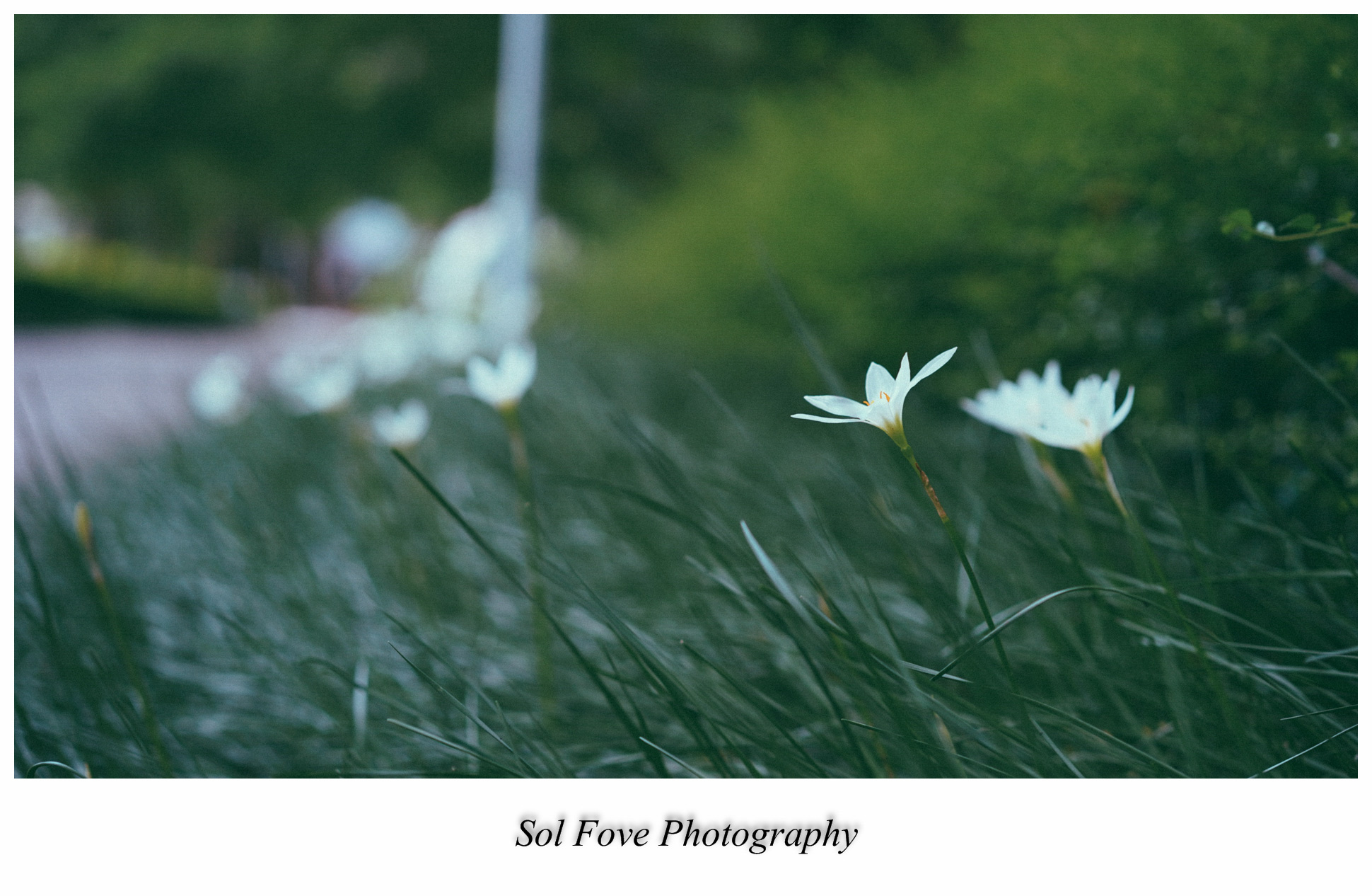 DSC08940_副本.jpg