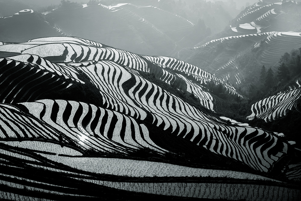 _K7A5875-A.jpg