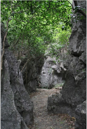 QQ图片20150609161841最小.png