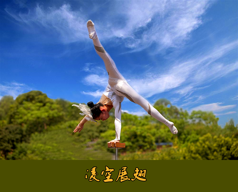 凌空展翅.jpg