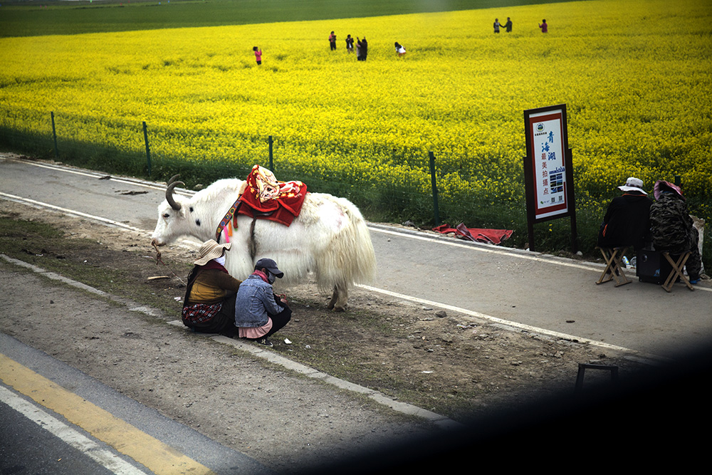 IMG_0341副本.jpg