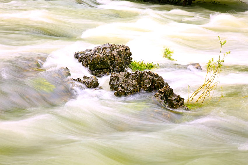 _S0A0618_conew1.JPG