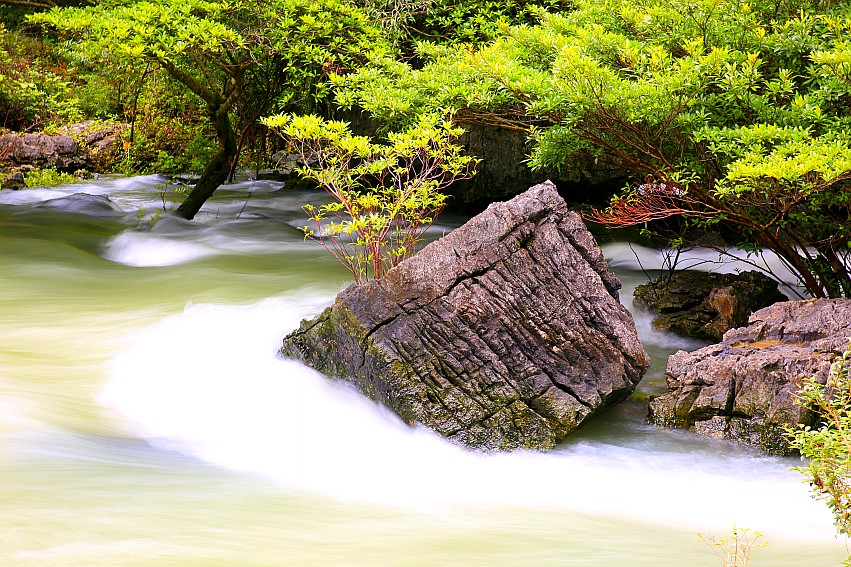 _S0A0629_conew1.JPG