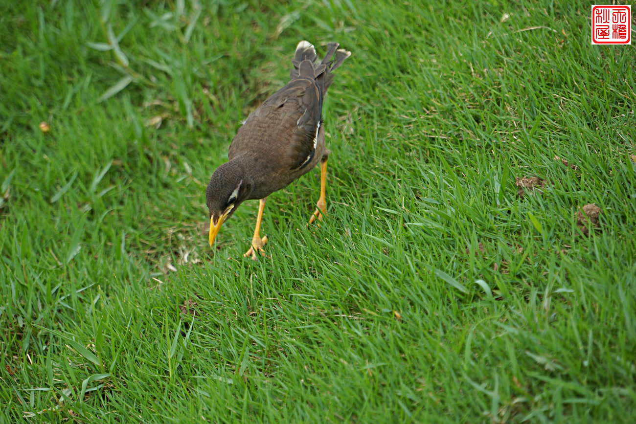 DSC08607.JPG