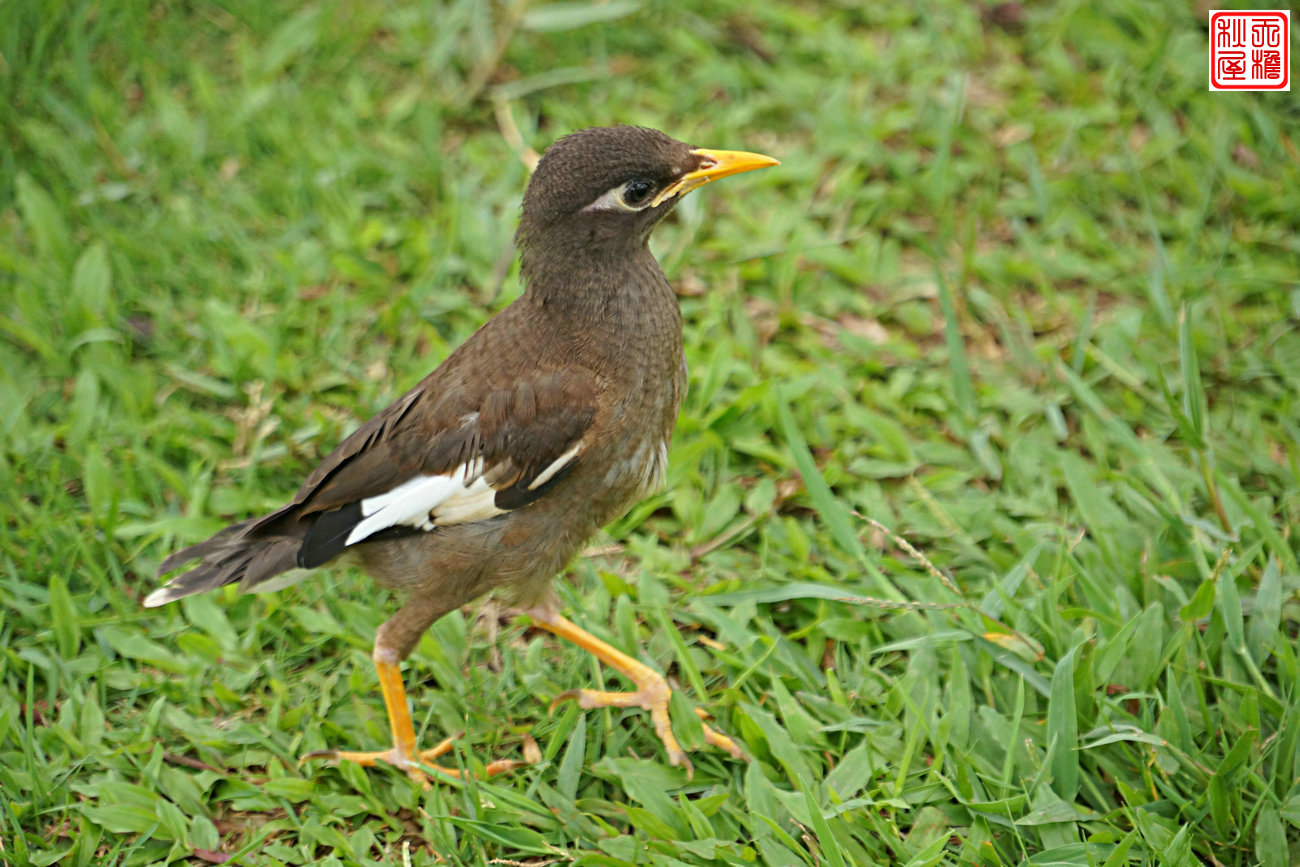 DSC08618.JPG